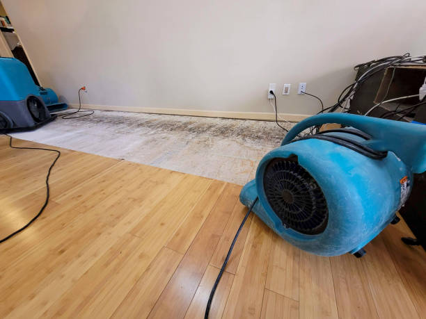 Professional Structural Drying technician working in Wheatland, ND